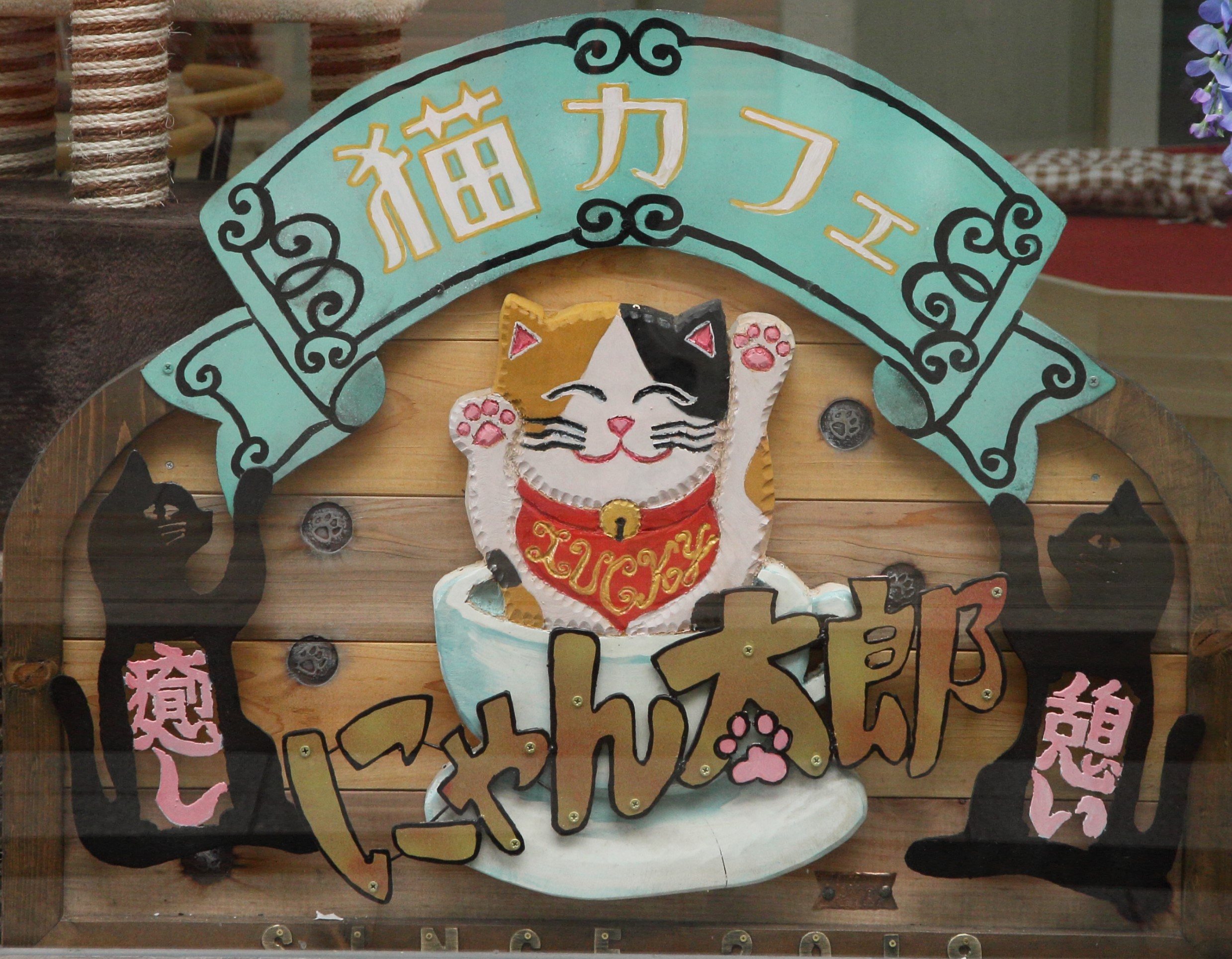 猫カフェ・にゃん太郎